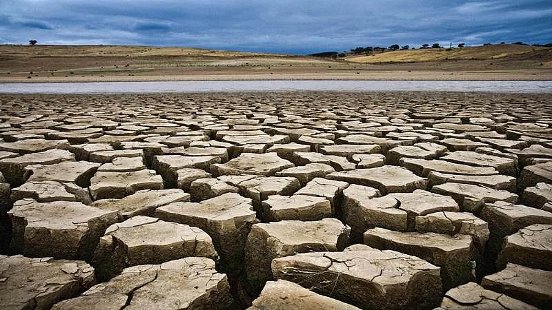 Super El Nino Heat Threat: India May Stare At 15,800 Deaths In Six Months As Scientists Claim 451,000 Could Perish Due to Extreme Weather Globally