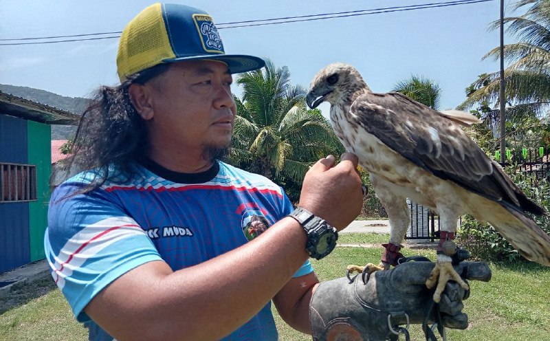 Retired soldier finds new passion in eagle training