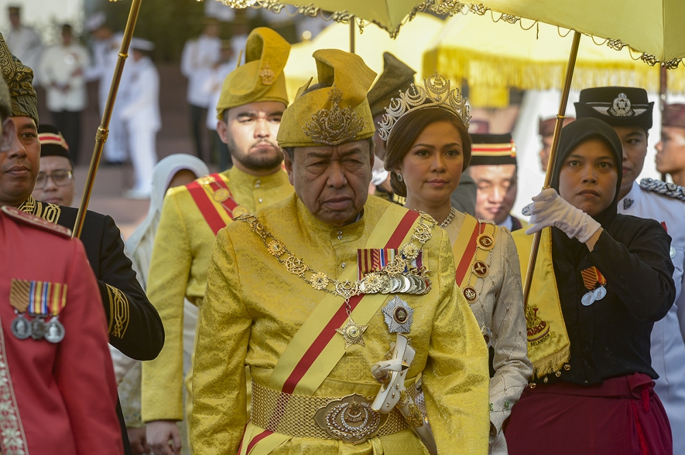 Selangor Sultan urges Muslims to show compassion towards all animals, including strays