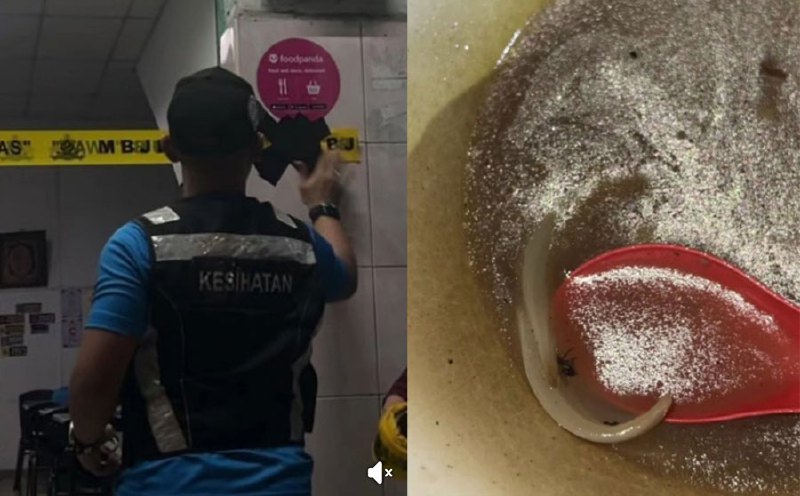 Johor eatery shut down after flies, eggs found in food
