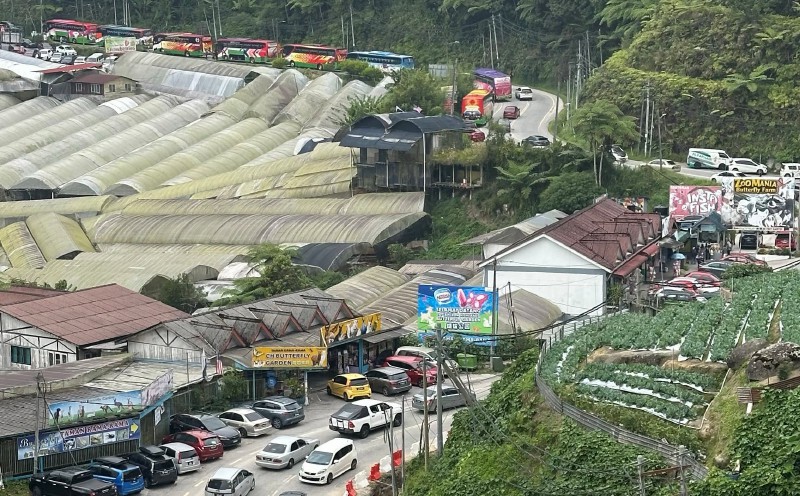 #NSTviral: Traffic congestion hits roads leading to Kea Farm in Cameron Highlands [WATCH]