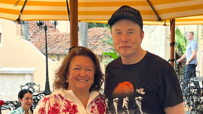 Rinehart almost doubles US shares to $8 billion, led by backing Elon Musk’s SpaceX