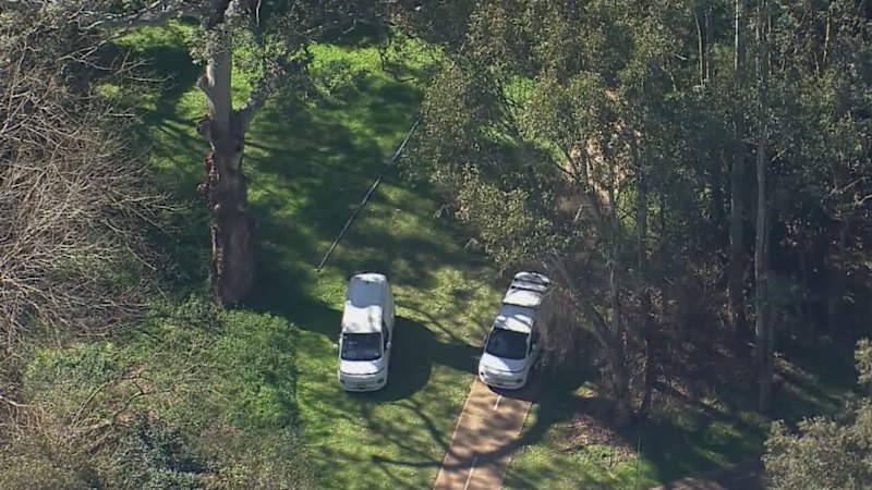 Police form strike force after body found in Baulkham Hills bushland