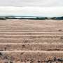 Heat waves on land start earlier and develop faster, global analysis reveals