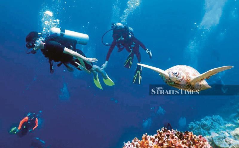 Diving industry backs tighter rules, protection for Sabah guides