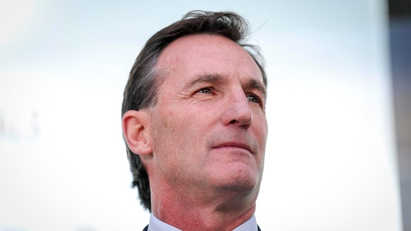 ‘It’s up to the clubs’: AFL CEO says there’s risk in trading for besieged Swans