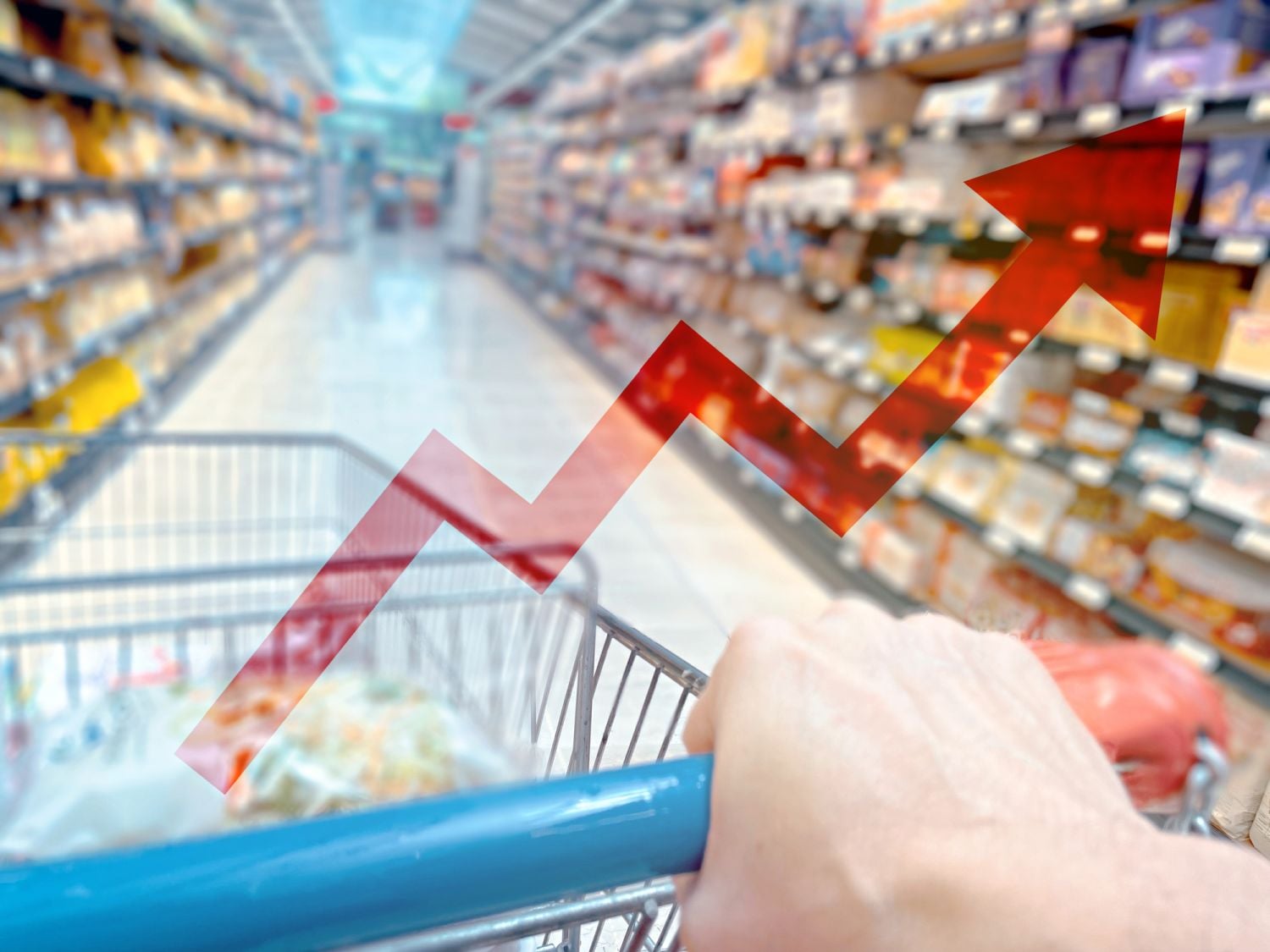 Inflation goes up in August, signalling no short-term relief for households