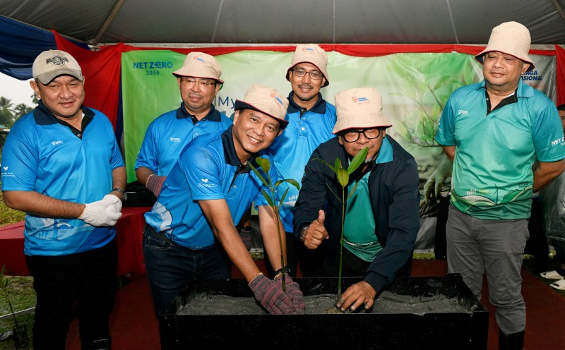 TNB targets 40,000 mangrove saplings nationwide