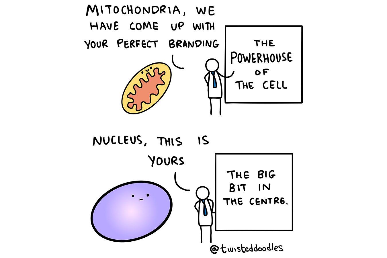 Twisteddoodles on how to make a cell look its very best