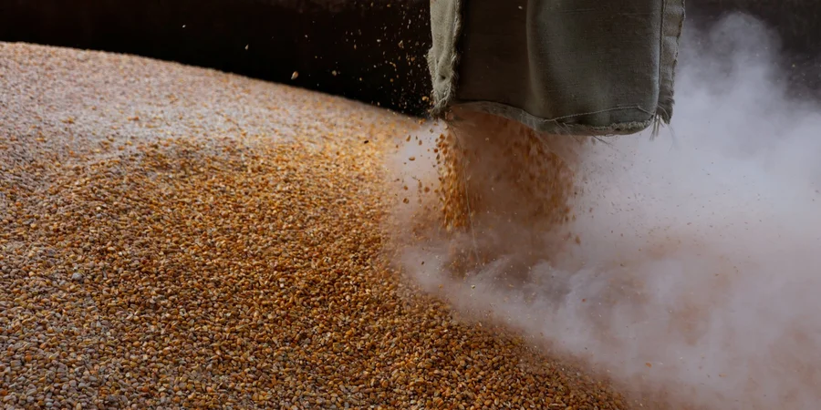 Ukrainian Black Sea strikes disrupt Russian grain exports as shipments plunge