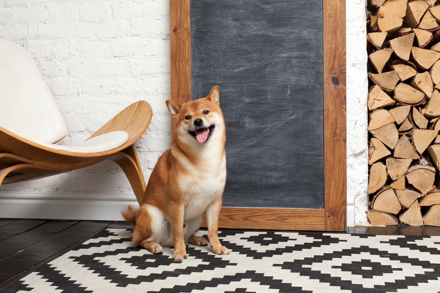Can Shiba Inu Reach $1 During the Next Crypto Bull Market? The Answer Might Shock You.