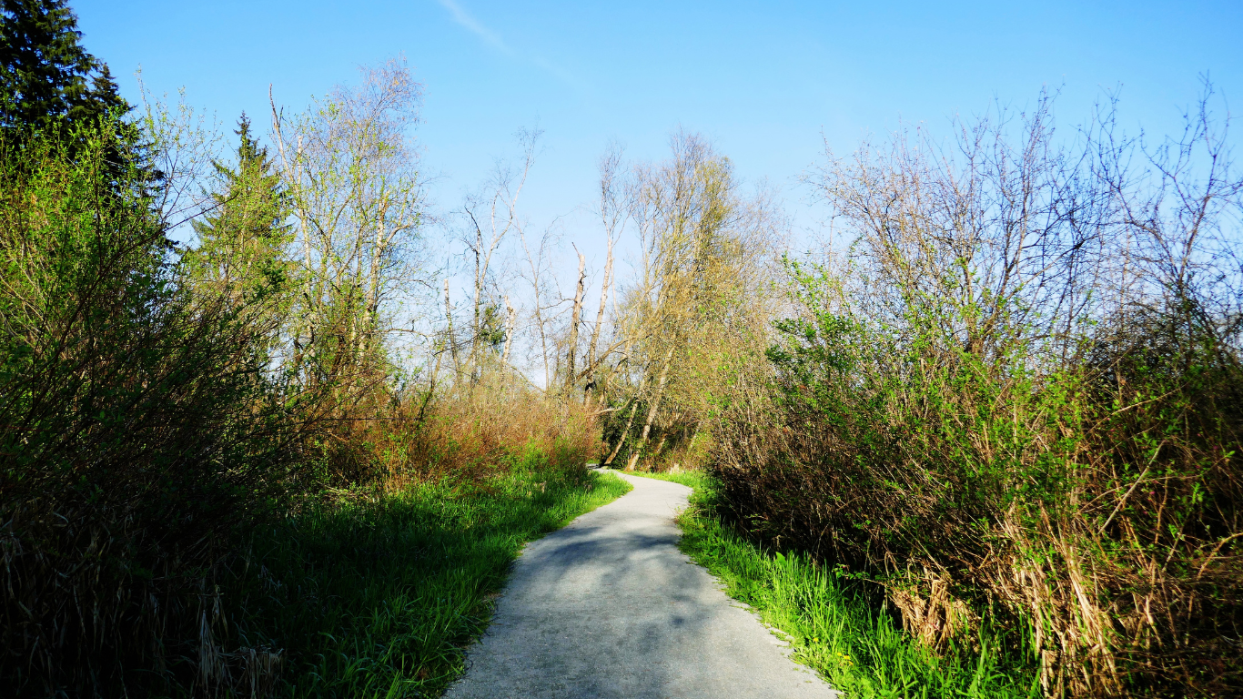 Walking Trails