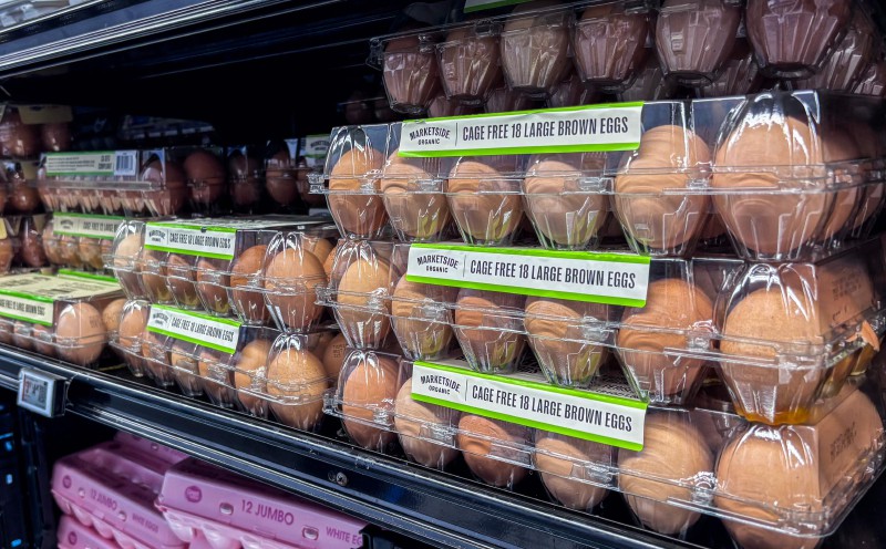 19 million US eggs recalled over deadly Salmonella risk