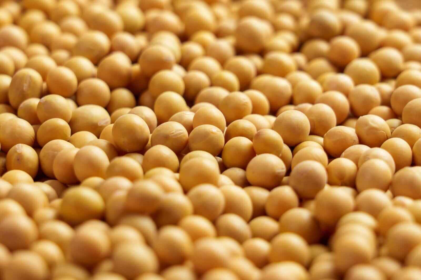 Soybean Oil Prices Are Falling as Crude Sells Off. 1 Trade to Make Here.