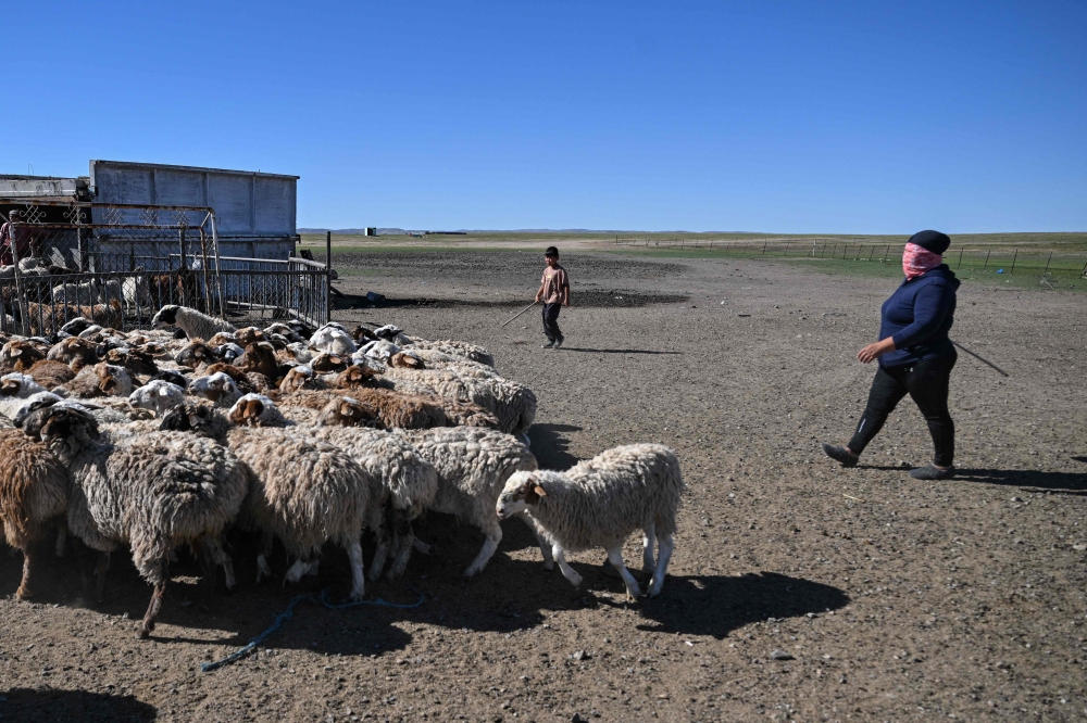 Mongolian herders enlist new tech against harsher, drier climate