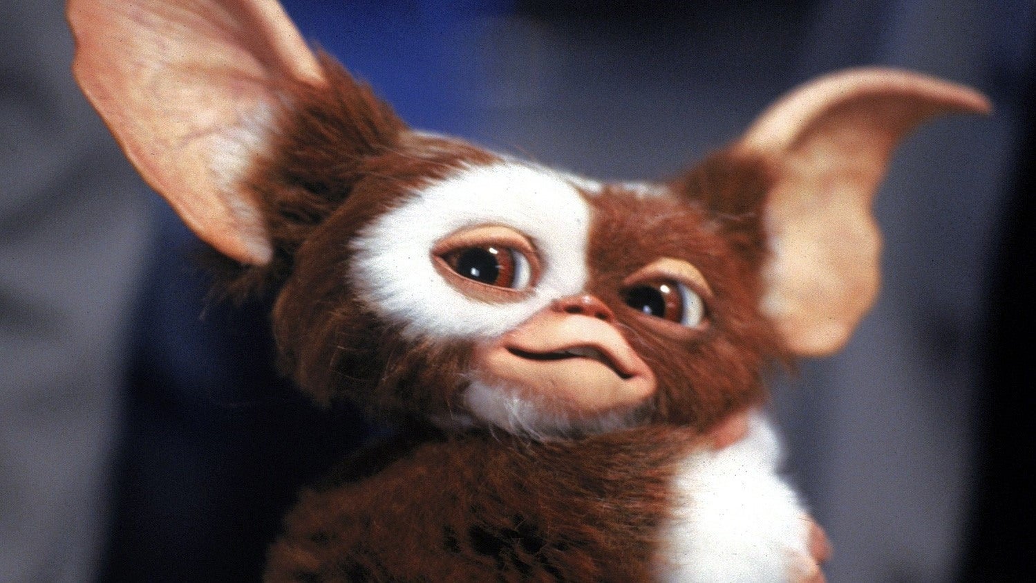 Warner Bros. Pushes Back DC's Dynamic Duo Film, Gremlins 3 Gets One Year Delay
