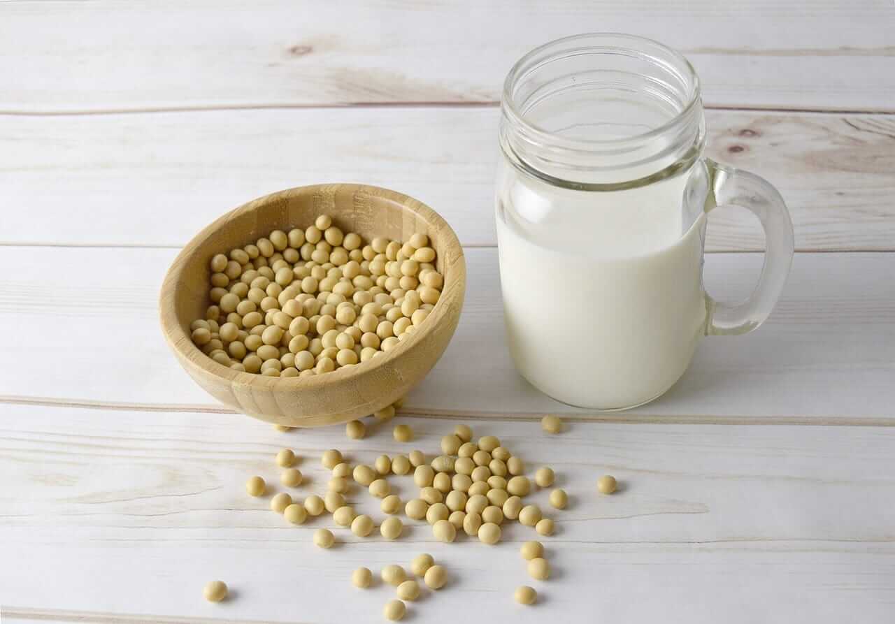 Soybeans Fading Back After Monday’s Rally