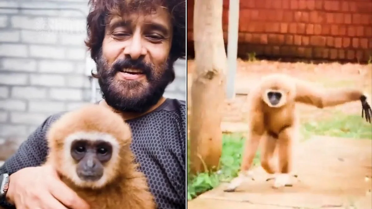 Wildlife Belongs To The Wild, Not To Celebrities To Show Off