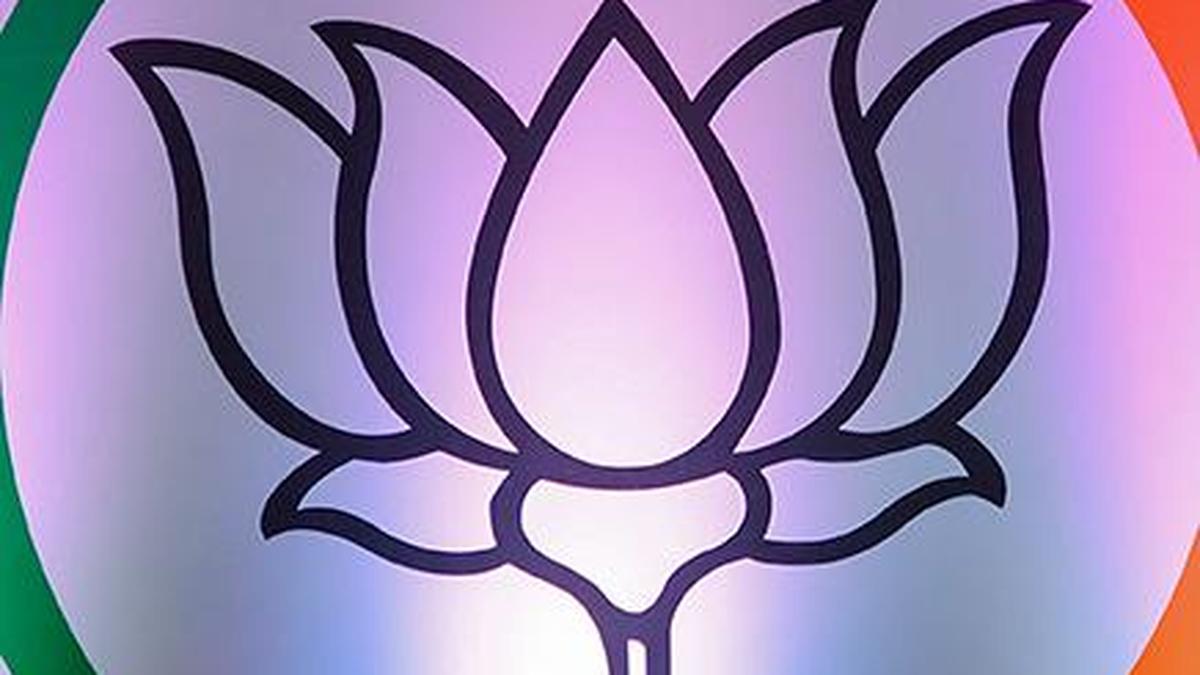 Karnataka BJP gets new in-charge leader