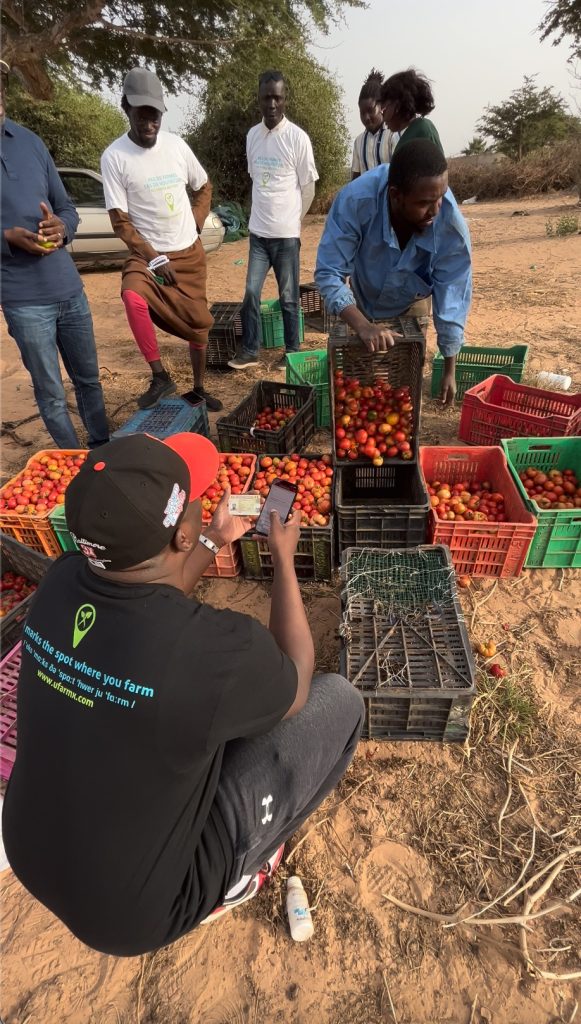 The $6.8M credit engine hidden inside a Nigerian cassava patch
