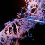Genetic clues help reveal kids' cancer risk