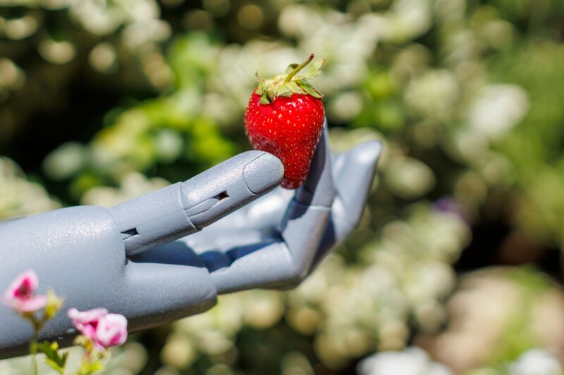 Google to critical infra orgs: Our AI scanners won't be evil, promise