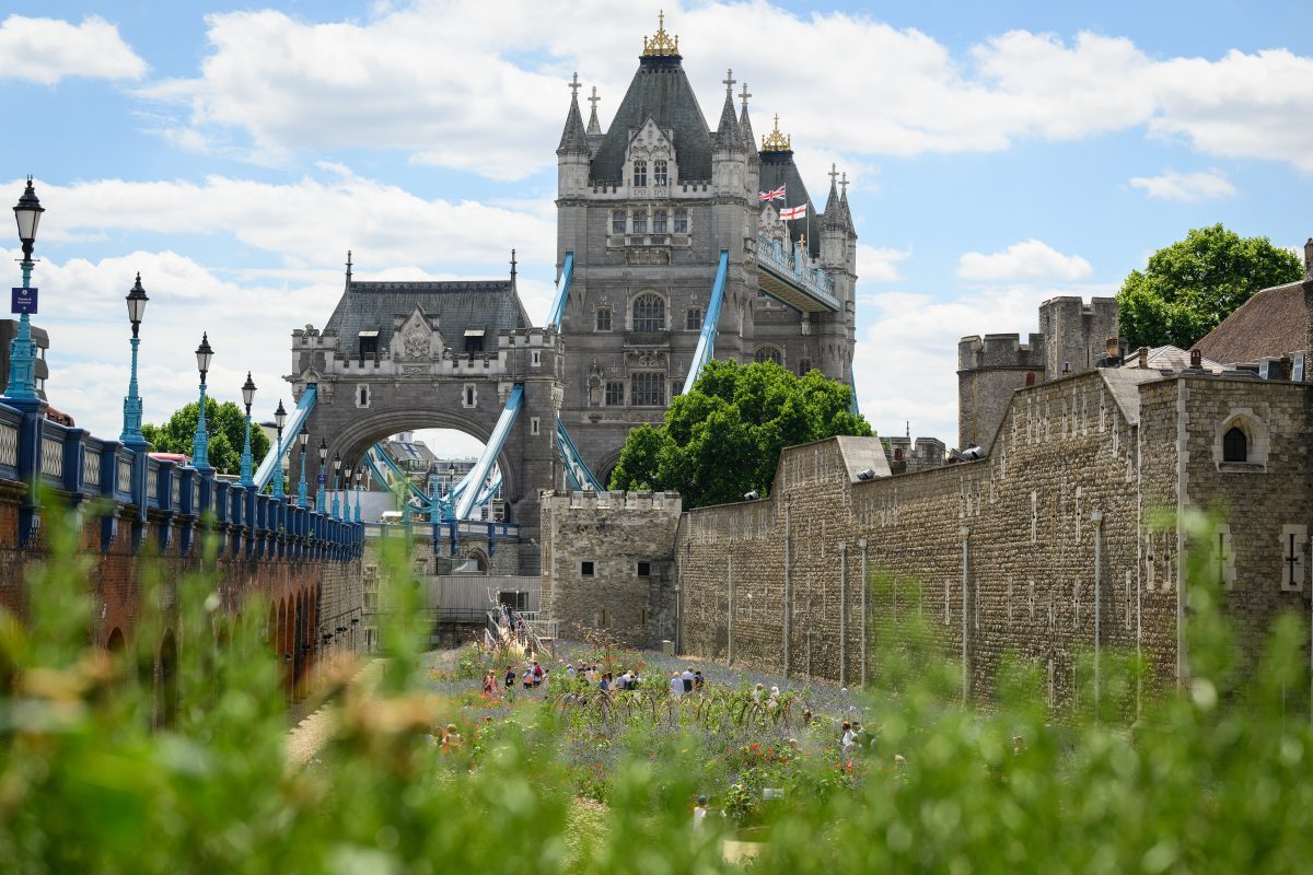 Ministers back City skyscraper plans after Tower of London row