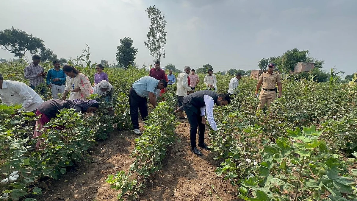 Jalgaon: Collector Visits Farmers’ Fields To Assess Crop Damage Amid Drought-Like Conditions