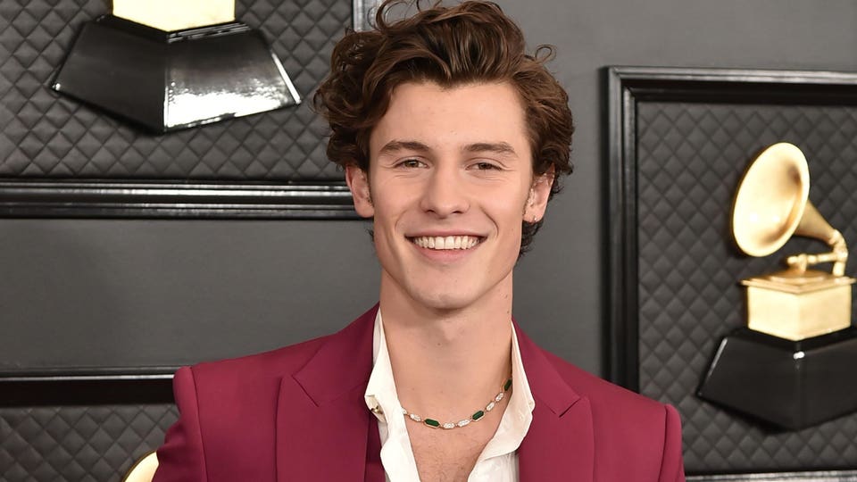 Shawn Mendes Scores His First Diamond Smash With A Song He Released As A Teen