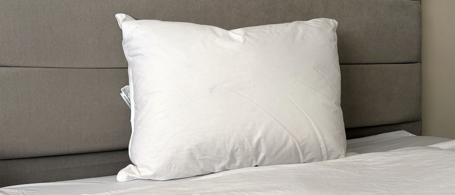 Is the Downright Mackenza WD the ultimate cozy, plump hotel-style pillow? I tested it to find out