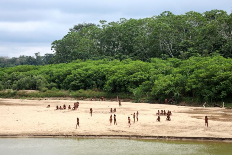Peru faces hearing over threats to uncontacted Indigenous groups in the Amazon