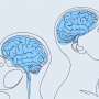 How specific changes in DNA shape human brain structure