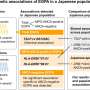 New insights into genetic architecture of a rare systemic inflammatory disease in East Asian populations