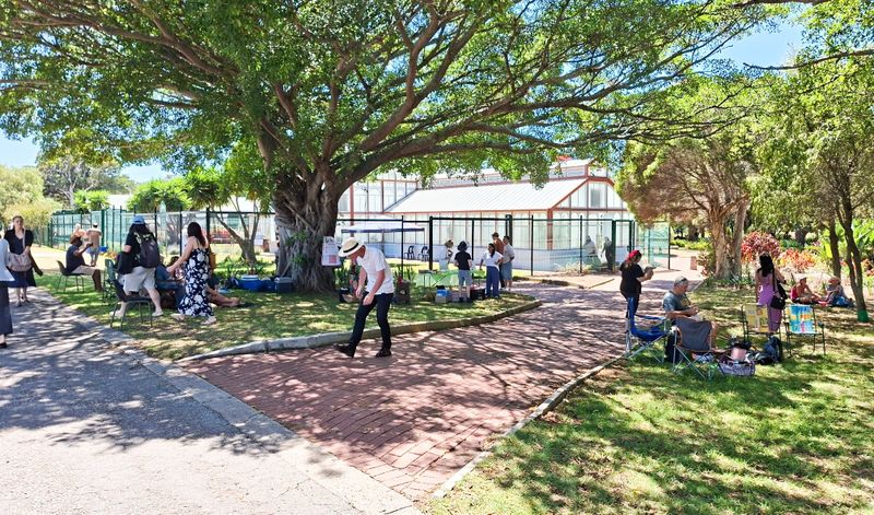 GREEN LUNG BOOST: Turning the corner — steady revival of Nelson Mandela Bay’s oldest park