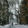 Why winter cold spells are getting milder