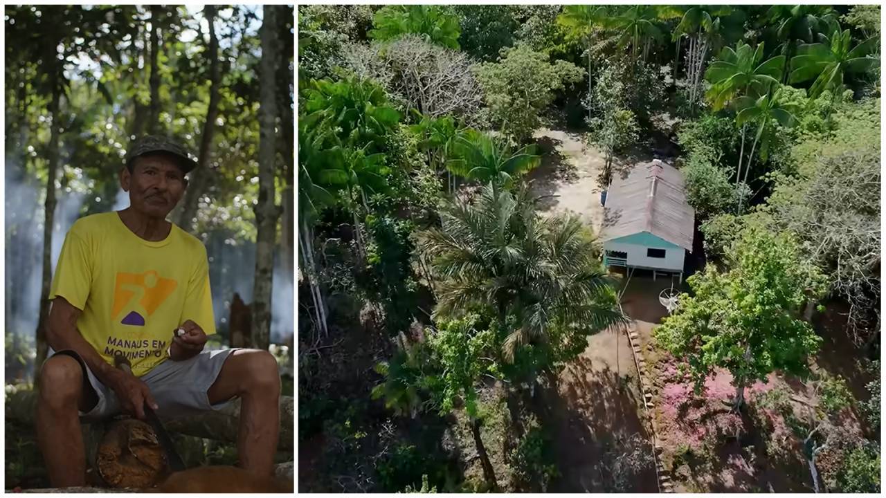 Alone 38 years in Amazon, Chico plants 1,500 trees and builds his own world