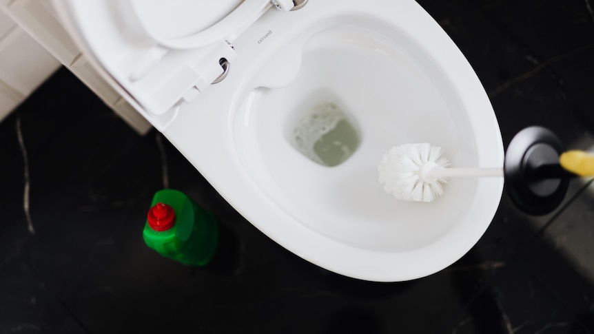 The best way to clean your toilet and how often