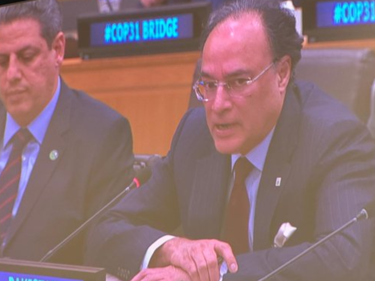 Aurangzeb highlights priorities for climate implementation at UNGA