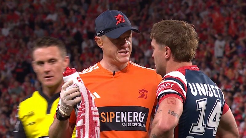 Dolphins, Roosters lose stars to head knocks