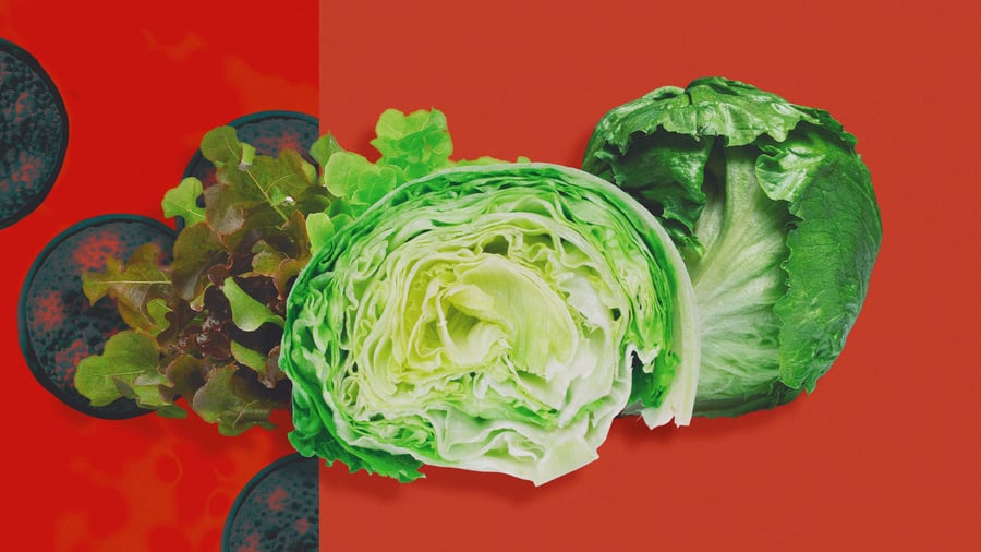 Cyclospora: US fast-food chains losing up to 31 percent of customers – because they are afraid of salad