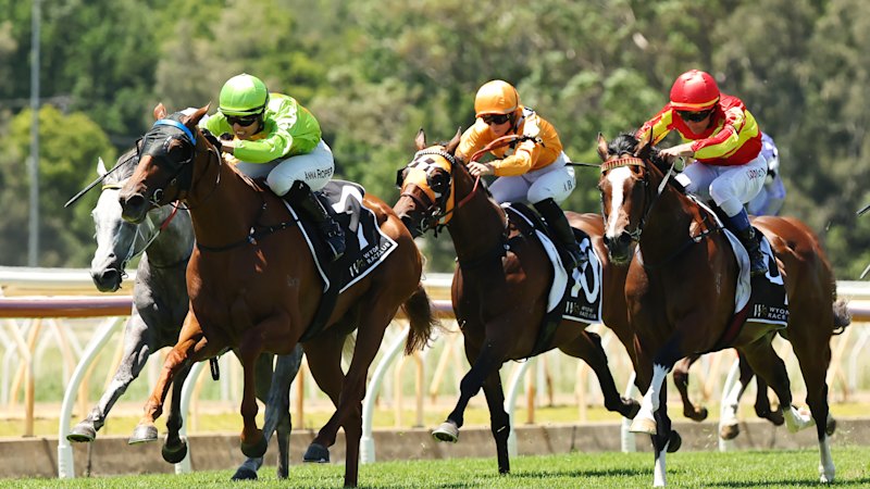 Race-by-race preview and tips for Sunday’s Wyong meeting