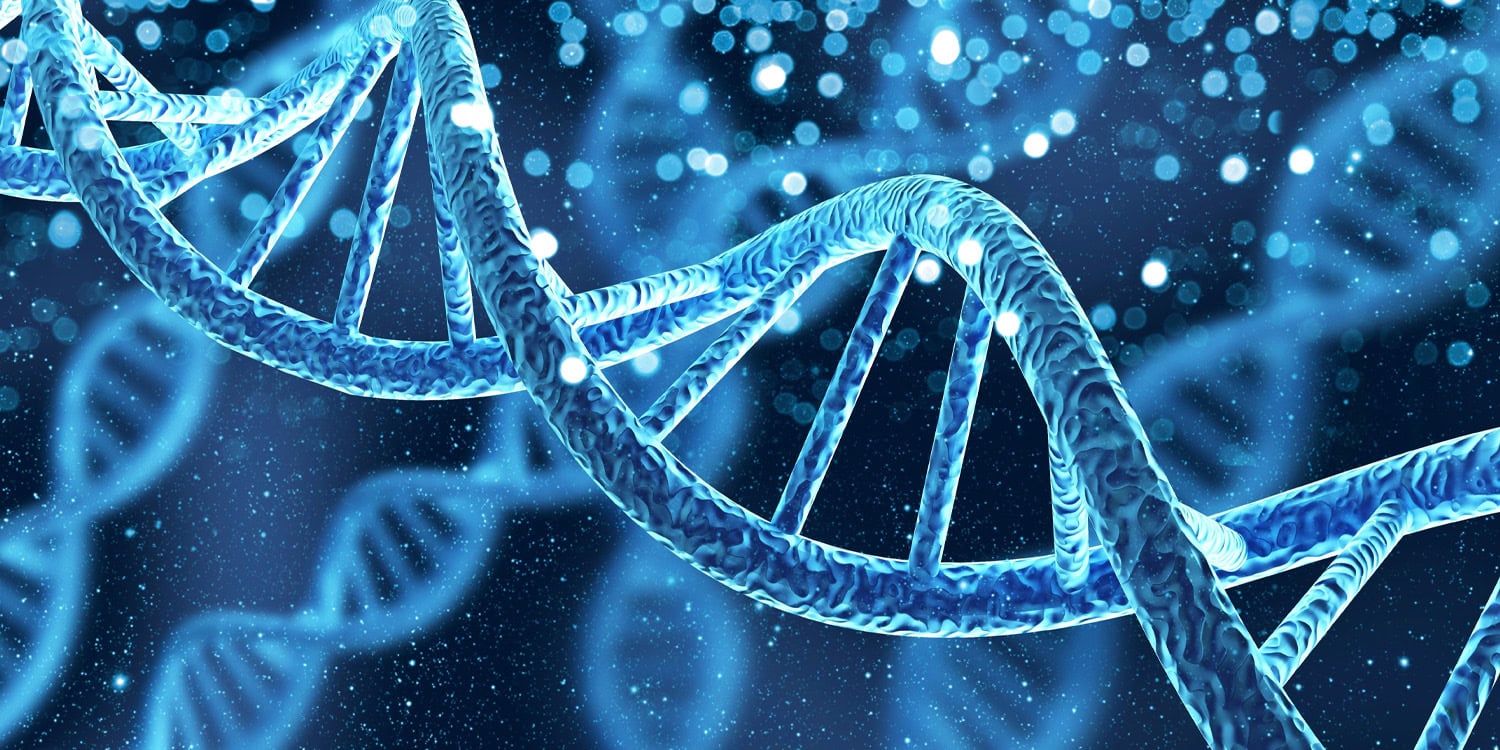 Diverse autism genes converge to disrupt shared biological pathways, study finds