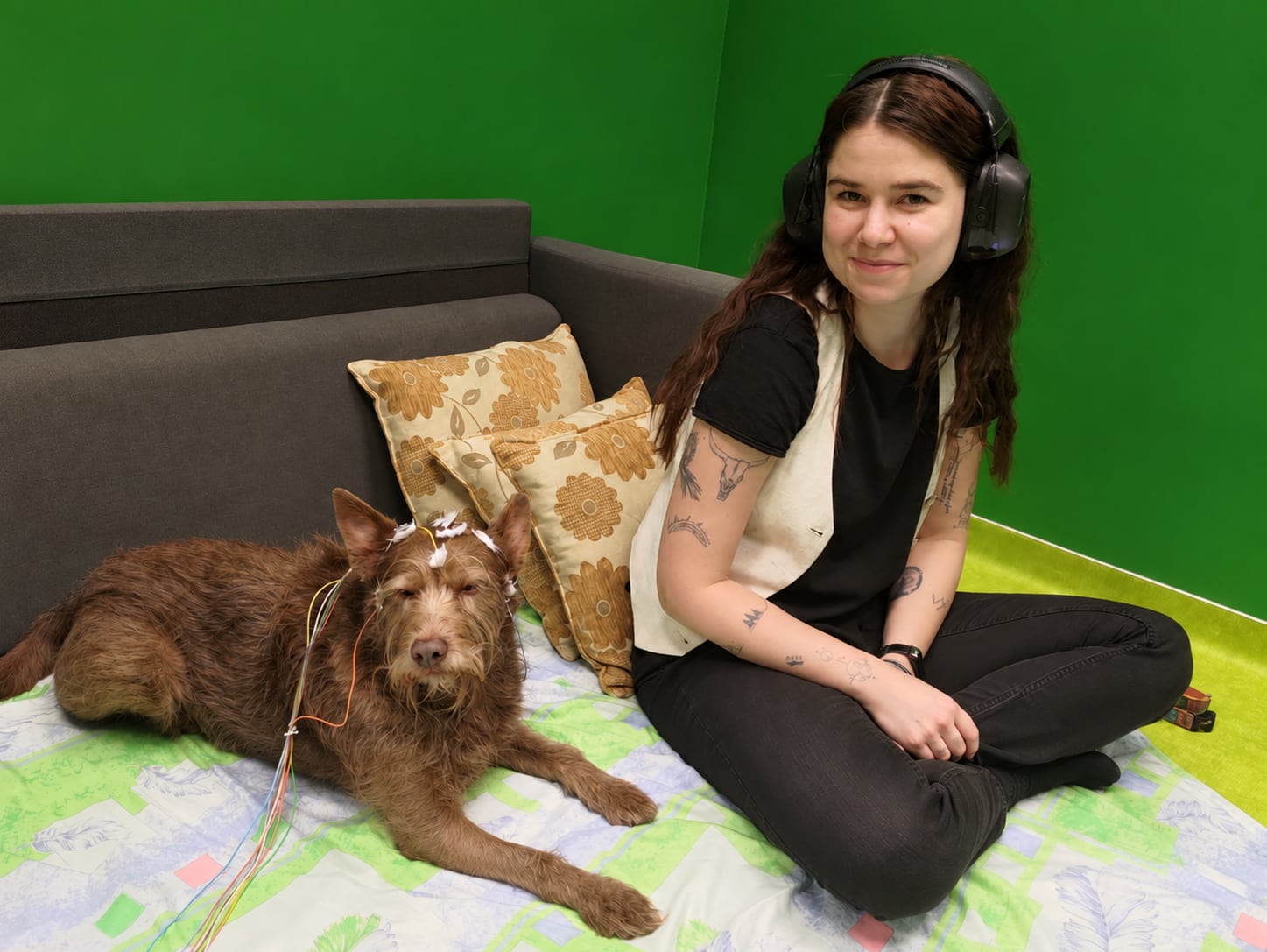 Dogs also prefer consonants: how our language shapes their brain