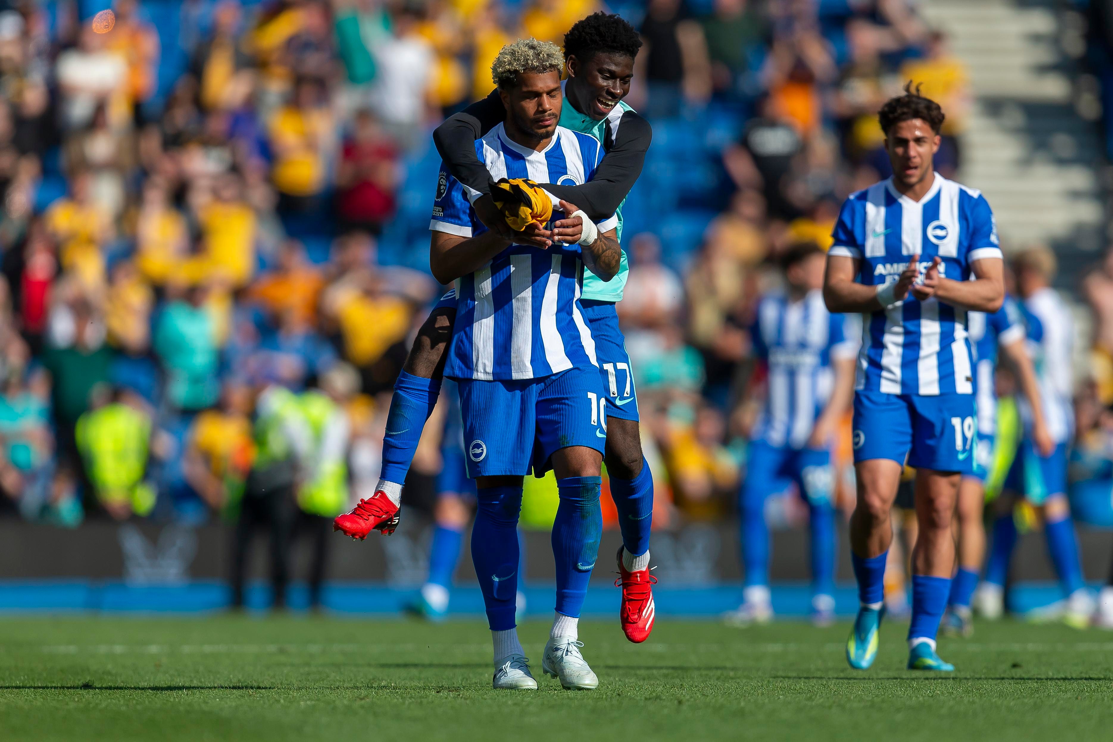 Brighton Star Emerges as Newcastle Target After Everton Game