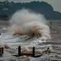 Hurricane storm surge follows predictable patterns, study finds