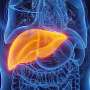 Steatotic liver disease risk scores compared for predicting cirrhosis