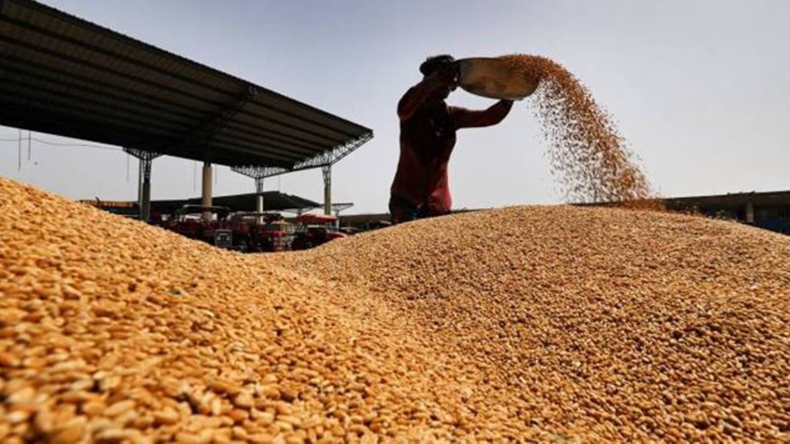 Don’t export tomorrow’s wheat surplus today