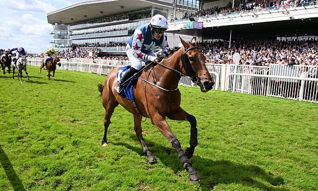 Horseracing in Britain could need private equity treatment, says ALEX BRUMMER
