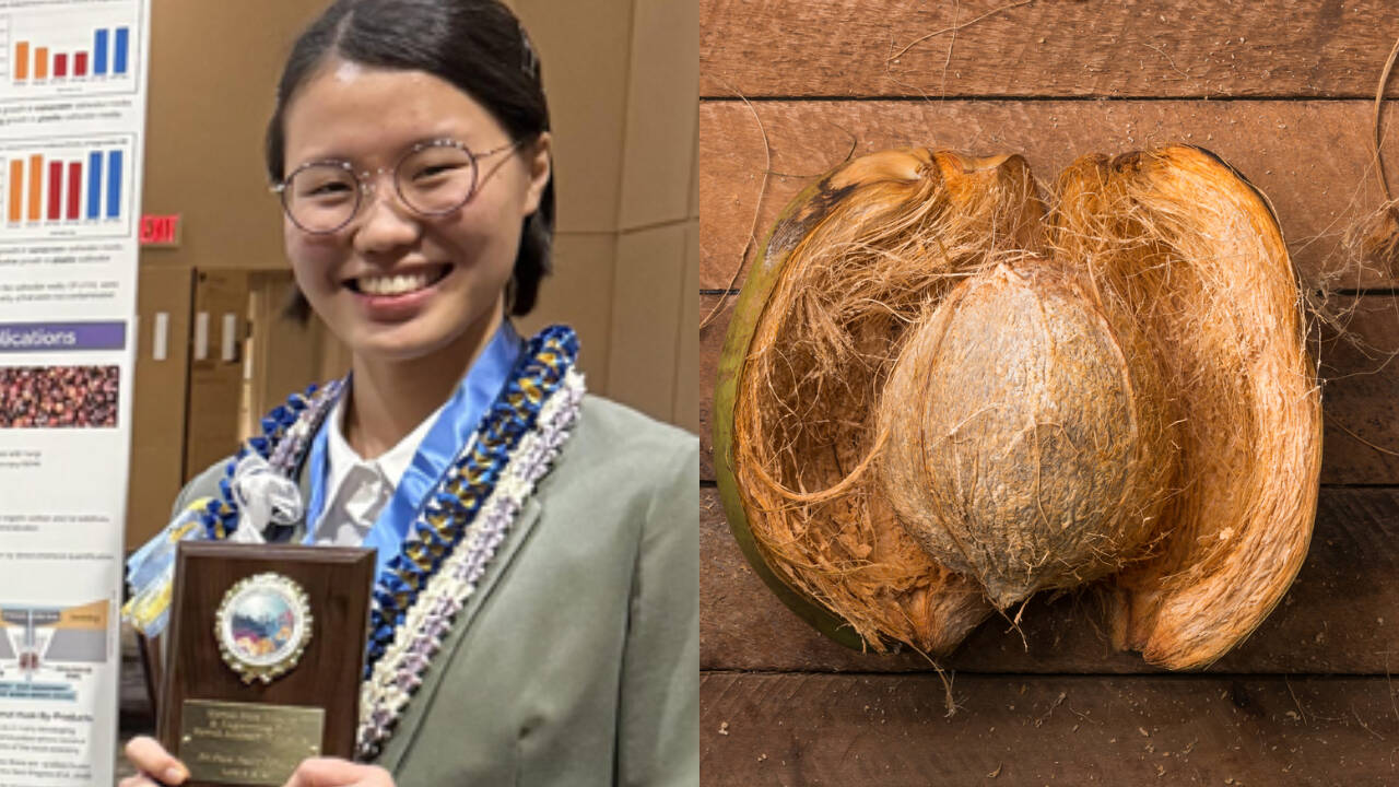 Hawaii teen finds fungi in coconut husks that can biodegrade plastic
