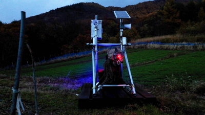 Can robots save an aging Japan?
